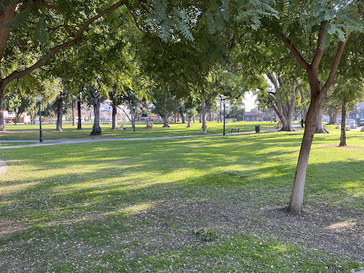 Central park playground 20250727 115015 009