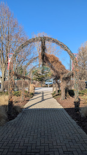 Cerny Park 20250727 120009 001