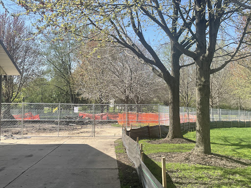 Cerny Park 20250727 120021 014