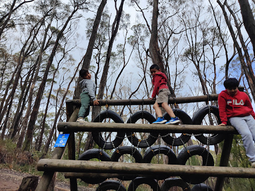 Challenge Hill Woodhouse Adventure Park 20250824 013235 001