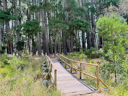 Challenge Hill Woodhouse Adventure Park 20250824 013241 009