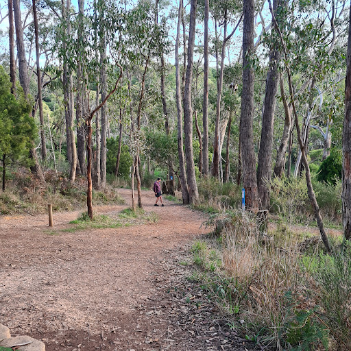 Challenge Hill Woodhouse Adventure Park 20250824 013247 016