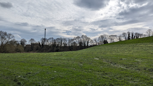 Charterhouse Park 20250808 175743 005