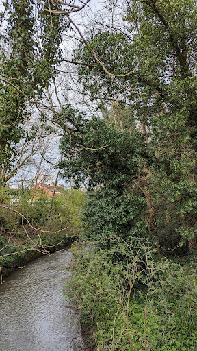 Charterhouse Park 20250808 175744 006