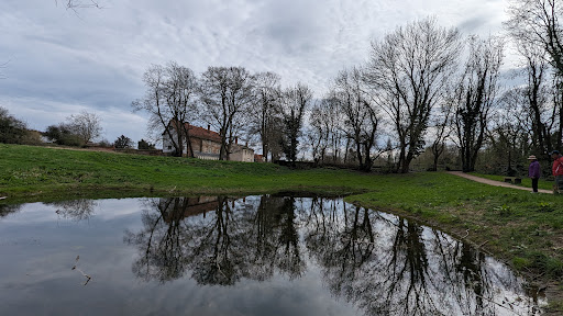 Charterhouse Park 20250808 175745 007