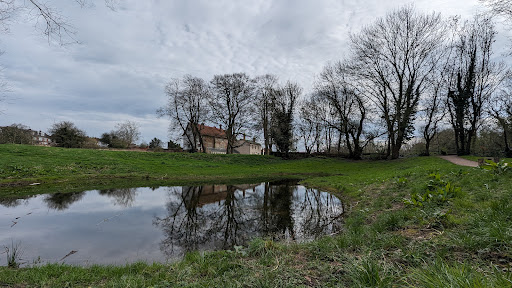 Charterhouse Park 20250808 175748 010