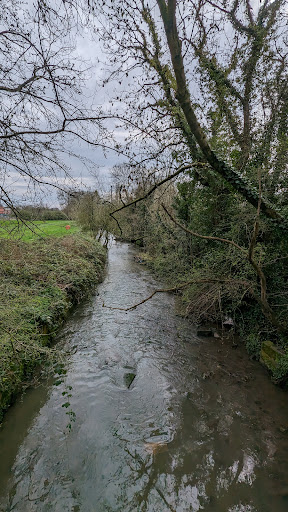 Charterhouse Park 20250808 175751 014