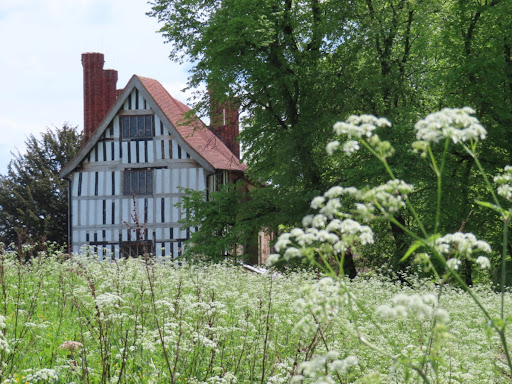 Charterhouse Park 20250808 175753 016