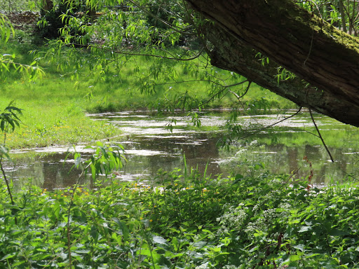 Charterhouse Park 20250808 175754 017