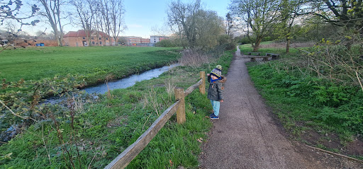 Charterhouse Park 20250808 175755 019