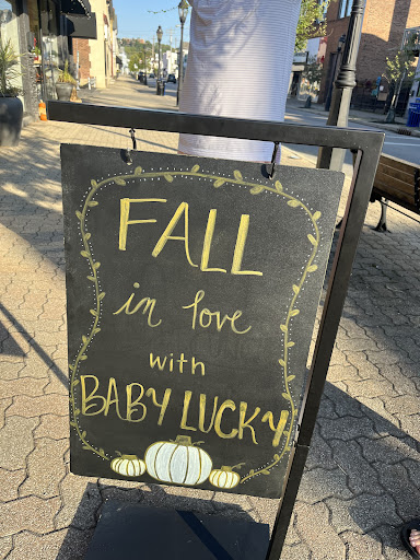 Chasing Cali Collective 20250727 022718 012