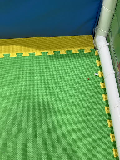 Cheeky Monkeys Sugar Land 20250726 174249 006