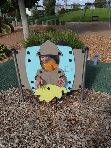 Cheltenham Reserve Playground 20250824 015046 001