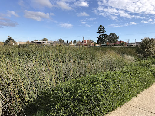 Cheltenham Reserve Playground 20250824 015050 007