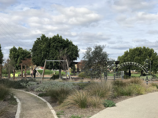 Cheltenham Reserve Playground 20250824 015052 009