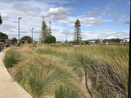 Cheltenham Reserve Playground 20250824 015053 010