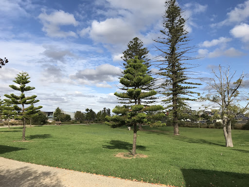 Cheltenham Reserve Playground 20250824 015054 011