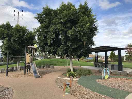 Cheltenham Reserve Playground 20250824 015057 015