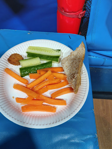 Chester s Den 20250808 170201 002