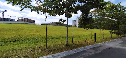 Chestnut Close Playground 20250821 222133 011