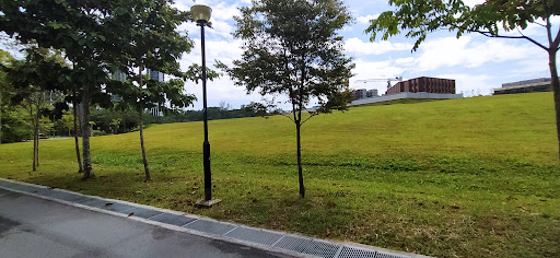 Chestnut Close Playground 20250821 222134 012