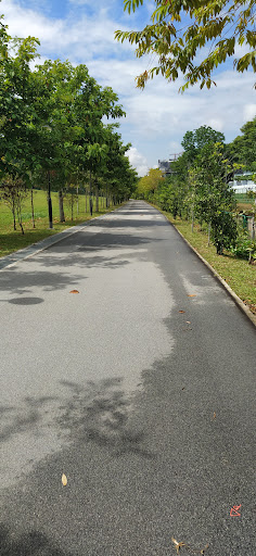 Chestnut Close Playground 20250821 222135 013
