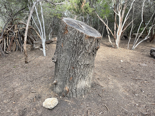 Children s Nature Play Area 20250727 104346 002