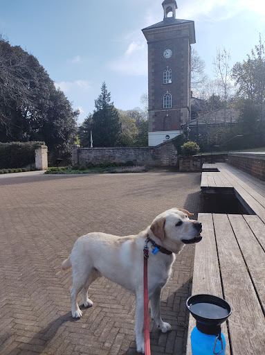 Childrens Playground 20250808 180154 004