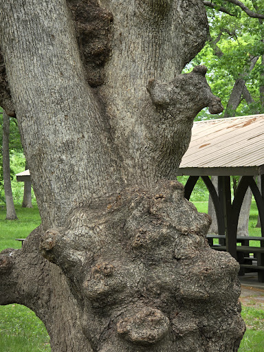 City Park 20250727 044527 003