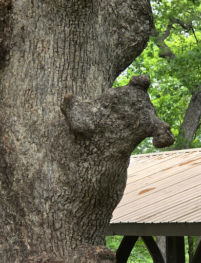 City Park 20250727 044528 004