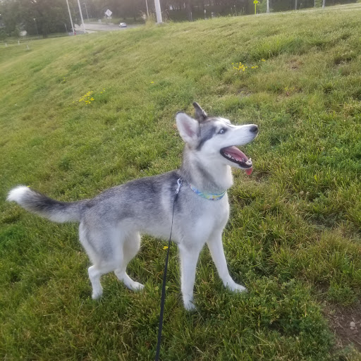 City Park 20250727 044531 008