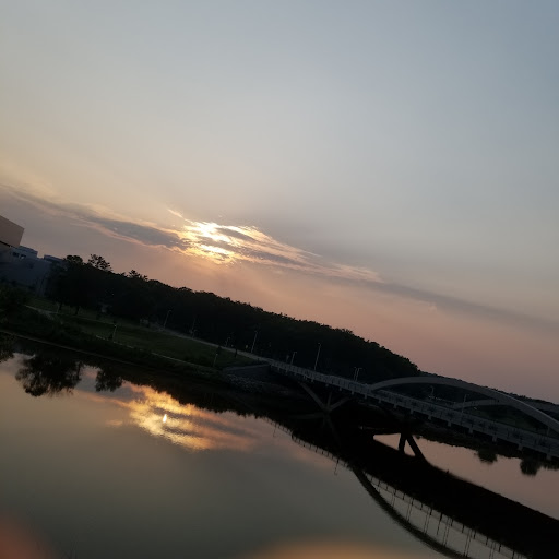 City Park 20250727 044533 011