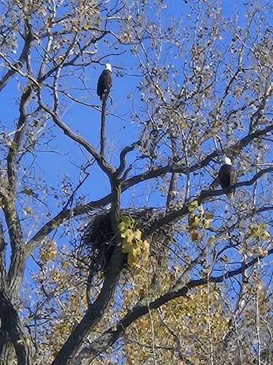 City Park 20250727 044536 014