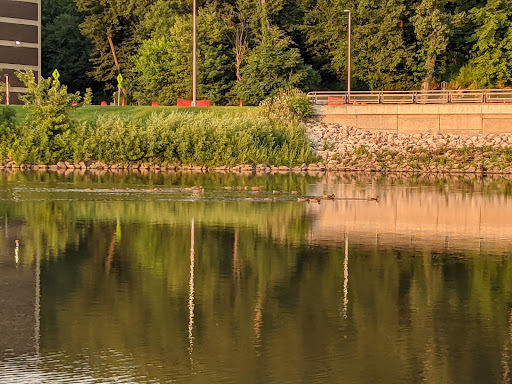 City Park 20250727 044537 015