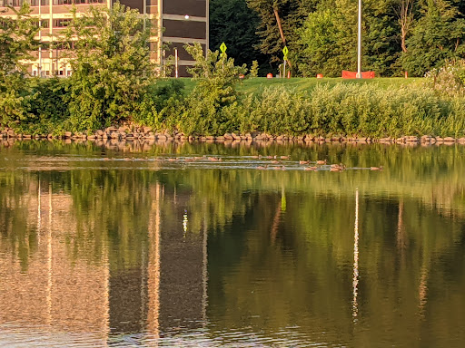 City Park 20250727 044538 016