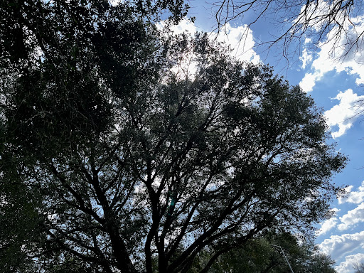 City of Brenham Jackson Street Park 20250726 175533 014