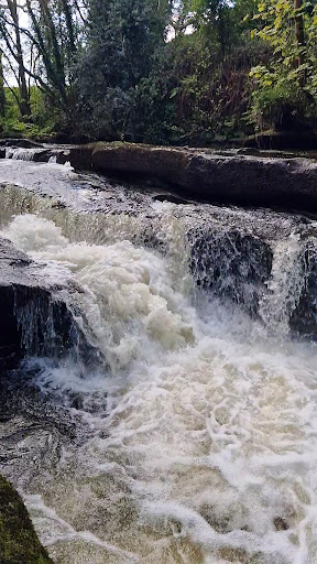 Clare Glens Playground 20250819 225826 015