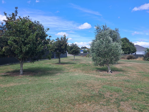 Clyde Crescent Reserve Playground 20250818 165755 009