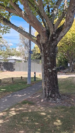 Clyde Crescent Reserve Playground 20250818 165757 011