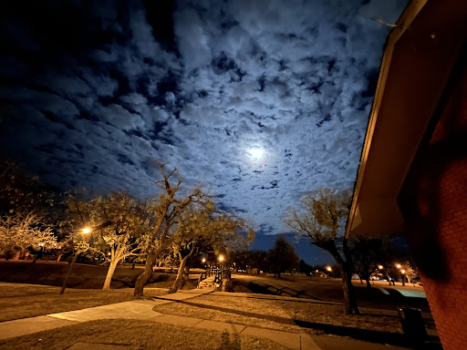 Cobb Park 20250726 191835 001