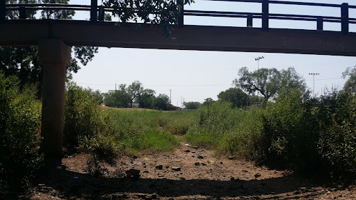 Cobb Park 20250726 191842 009