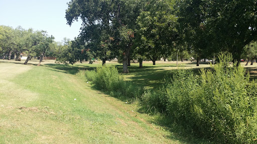 Cobb Park 20250726 191843 011