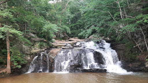 Cochran Mill Park 20250726 201718 005