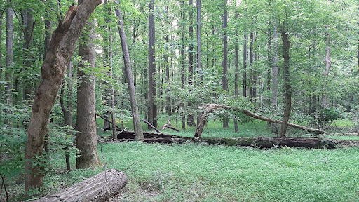 Cochran Mill Park 20250726 201723 012