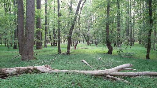 Cochran Mill Park 20250726 201723 013