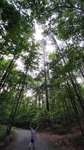 Cochran Mill Park 20250726 201725 016