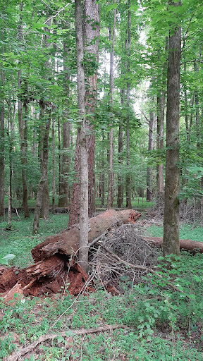 Cochran Mill Park 20250726 201726 017