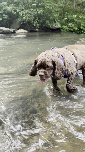 Cochran Mill Park 20250726 201728 020