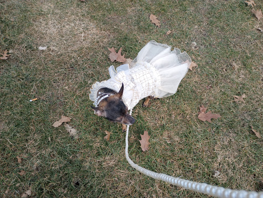 College Green Park 20250727 044656 001