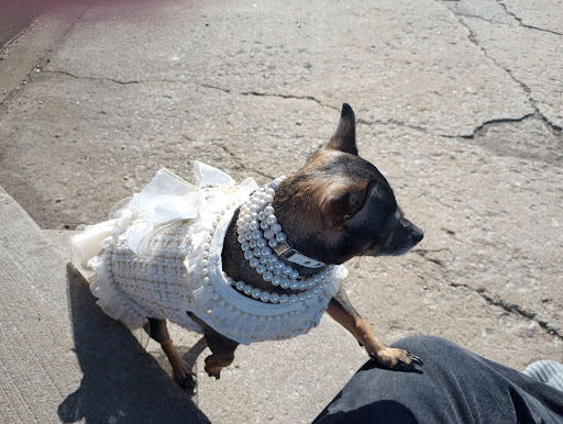 College Green Park 20250727 044658 003